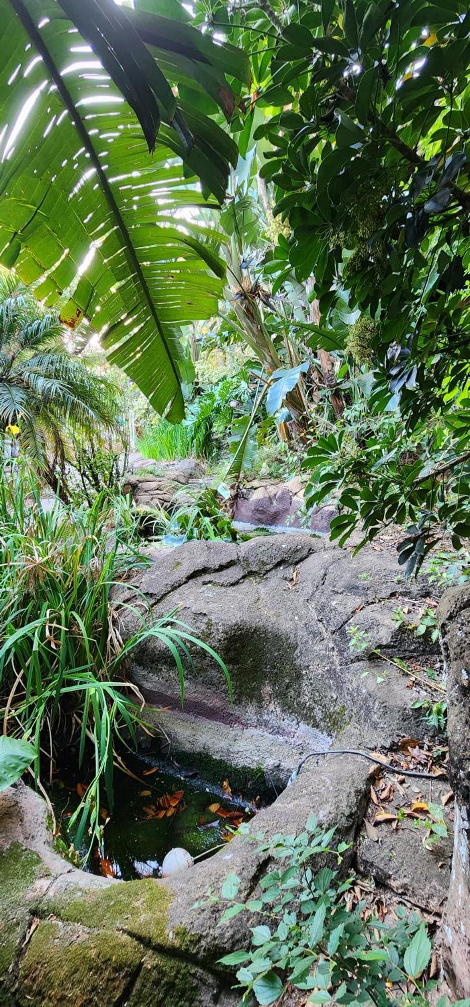 Bali At Scenic Haven Lodge In ハートビーズポート エクステリア 写真