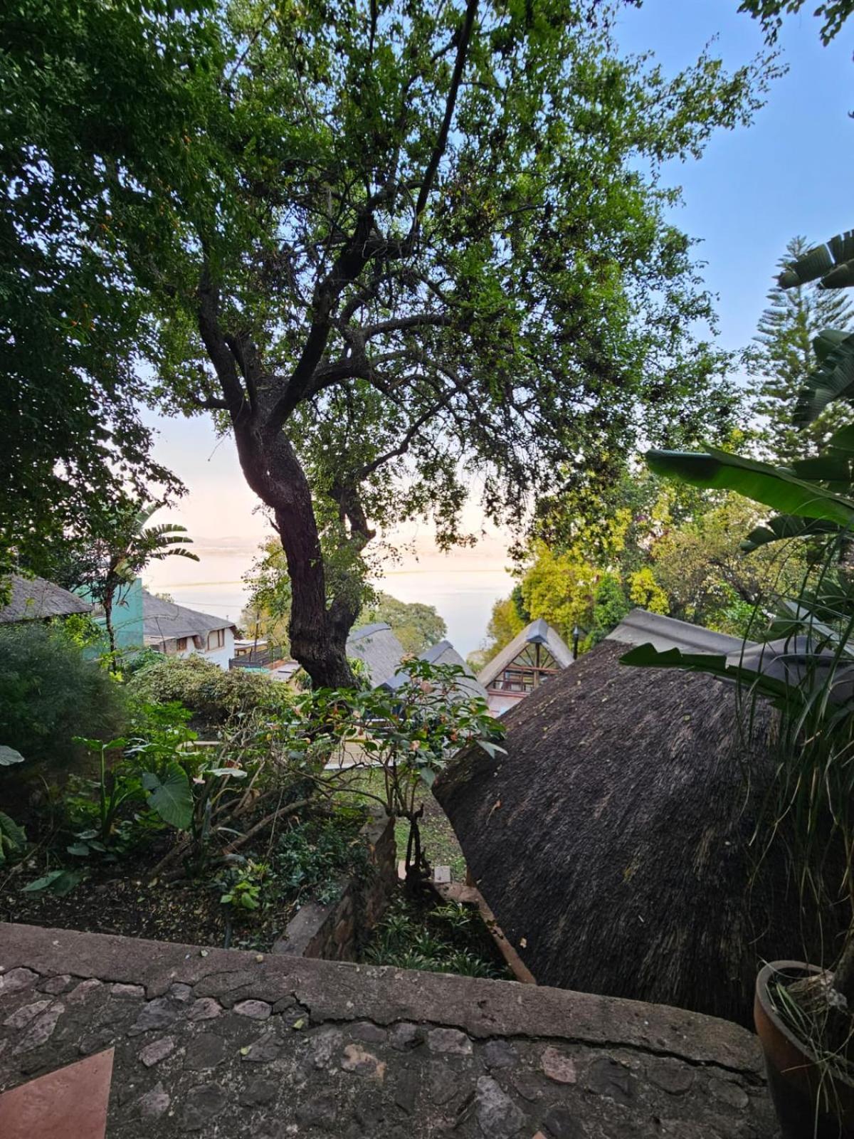 Bali At Scenic Haven Lodge In ハートビーズポート エクステリア 写真